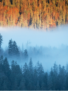 Wandern im Herbst