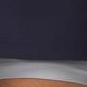 Vanish Woven DC Herren Shorts 3