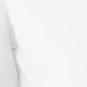 Fresh Light Maglia  Damen Longsleeve 1
