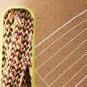 Eagle Lite Protect Eco Dry 9.5 mm Einfachseil 1