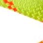 9.5 Alpine Core Protect Dry 30 m Einfachseil 1