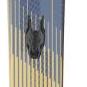 Dobermann Multipista DC + Tpx13 Fdt 26/27 Alpinski 1