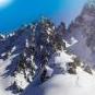 Natural Fluid Skiwachs 1